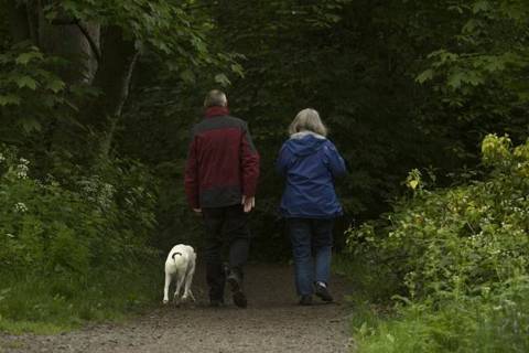 Mensch und Hund im Alltag