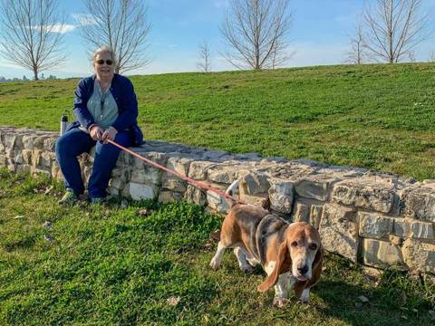 Mensch und Hund im Alltag