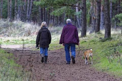 Mensch und Hund im Alltag