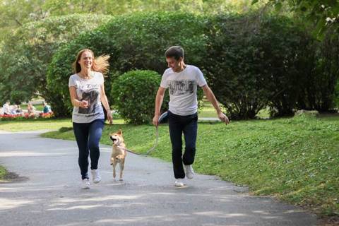 Mensch und Hund im Alltag