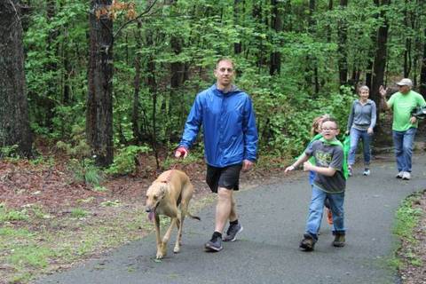 Mensch und Hund im Alltag