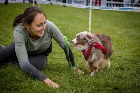 Mensch und Hund im Alltag