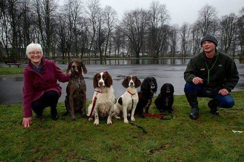 Mensch und Hund im Alltag