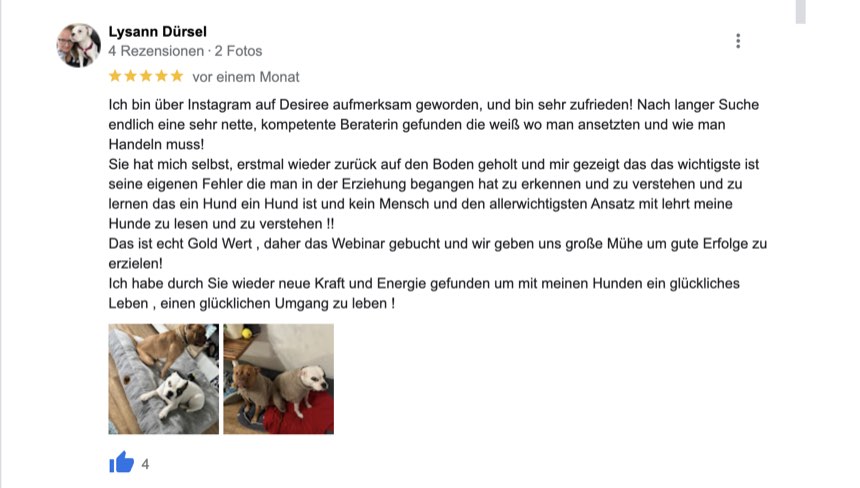 Google-Rezension von Lysann mit Fotos ihrer beiden Hunde, fünf Sterne