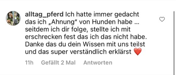 Franziska im Video über ihre Erfahrung mit der DSM-Methode