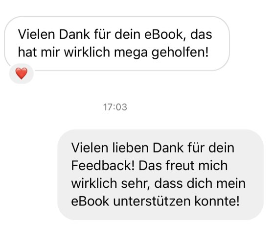 Nicky im Video über die DSM-Methode