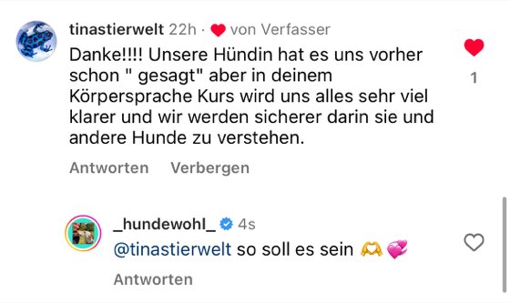 Vanessa im Video über das Alleinbleiben ihres Hundes