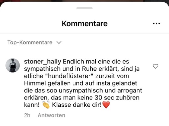 Nachricht einer Kundin an Désirée Scheller