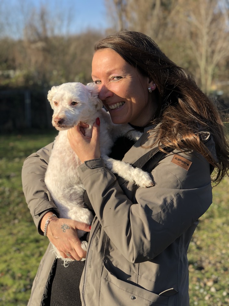 Mensch und Hund unterwegs im Alltag